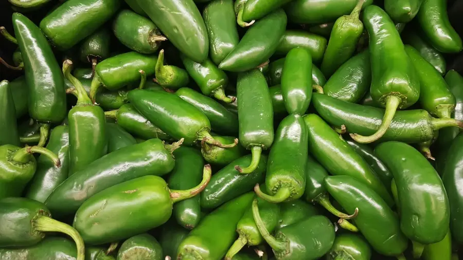 Green Chili, 250 g