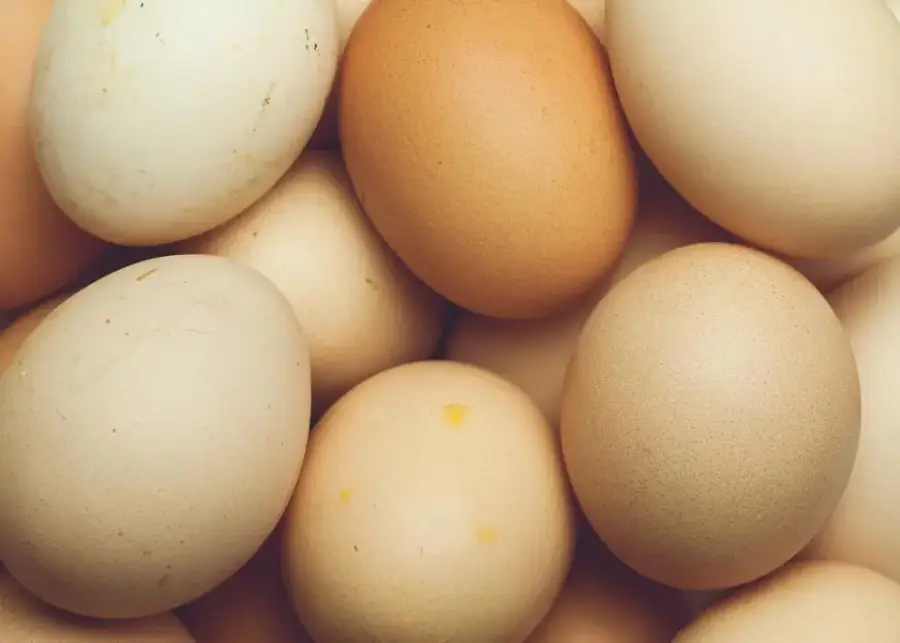 Farm Eggs (Brown), 12 pcs