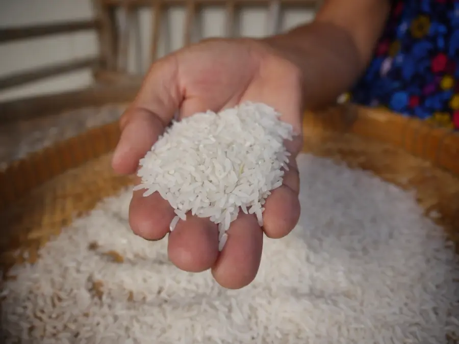 Miniket Rice