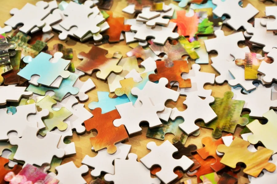 Animal Jigsaw Puzzle (48 pcs)